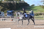 BPP_9431