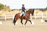SBM_009556
