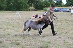 WJ6_6973