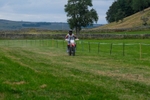 DSCF1353