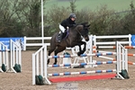 Cls 22 Foxhunter and 1.20m Open portfolio