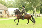 SBM_72004
