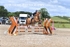 BPP_3304
