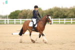 SBM_006475