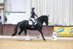 SBM_001982