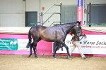 SBM_00221