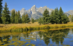 Teton Majesty