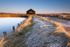 ab110 Newtown frosts