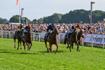 220826-Race 6-Sale Shark-1534
