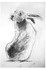 "hare turning"