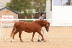 SBM_16461