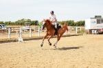 SBM_002995