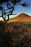 Roseberry Topping - Autumn