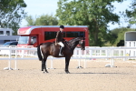 SBM_17611