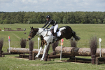 BVHT 140517  IXC -295