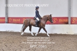 BPP_0561
