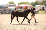SBM_04622