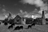 Paible, Island of North Uist, Outer Hebrides.
