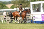 SBM_07679