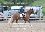 BPP_9414