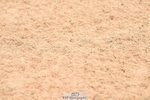 230628A-101034-00042