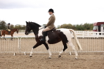 SBM_02936