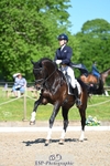 456-CHARLY_VAN_TER_HEIDEN-Mollie_Summerland-DR portfolio