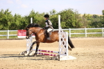 SBM_000252