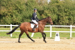 SBM_001551
