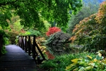 Benmore Gardens 2
