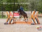 BPP_4791