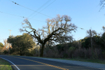 Highway 175, Hopland, California