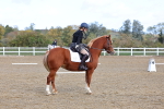 SBM_000996