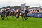 220825-Race 4-Asfoora-7527