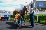 300526-Race 1-Forest Phoenix-0316