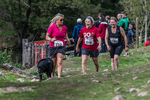 Dovedale-2082