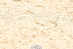 250808A-124517-00730