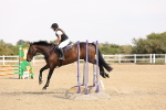 SBM_001640