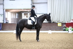 Class 15 - FEI Junior Pony Team-YR-COH portfolio