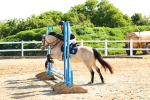 SBM_006743
