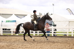 SBM_00559
