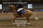 BPP_5396