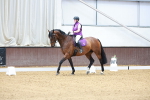 SBM_002293