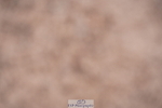 240505A-090620-04051