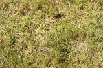 SBM_05602