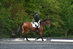 WJ5_8732