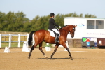 SBM_010556