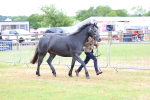 SBM_04035
