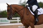 Friday 30th - Unaffiliated Classes portfolio