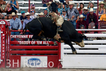 CFD Rodeo Performance - July 22nd portfolio